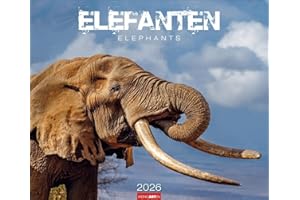 Elefanten Kalender 2026: Die sanften Riesen Afrikas, porträtiert in einem großen Wand-Kalender. Hochwertiger Fotokalender voll beeindruckender ... x 46 cm Querformat (Tierkalender Weingarten)