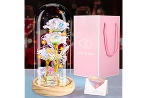 AOUVT Szklana kopuła wieczna róża, wieczna róża z motylem, kolor sztucznej róży piękna i bestia, zaczarowana róża, wieczna róża z diodami LED i kartami, najlepszy prezent dla dziewczyny, żony, matki