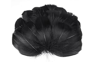 AOOTE Plumes Noires, 100PCS Plume Décoration, Plumes Loisirs Creatifs, Plume d'oie Naturelle, pour DIY Dreamcatcher, Noël, Anniversaire, Fête de Mariage, Décoration d'intérieur