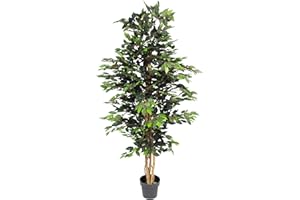 Blooming Artificial - Ficus Tree Artificial Plant, Large Fake Plant in Pot for House and Indoors, Year Round Decorative Realistic Faux Foliage (Green) (180cm/ 6ft)
