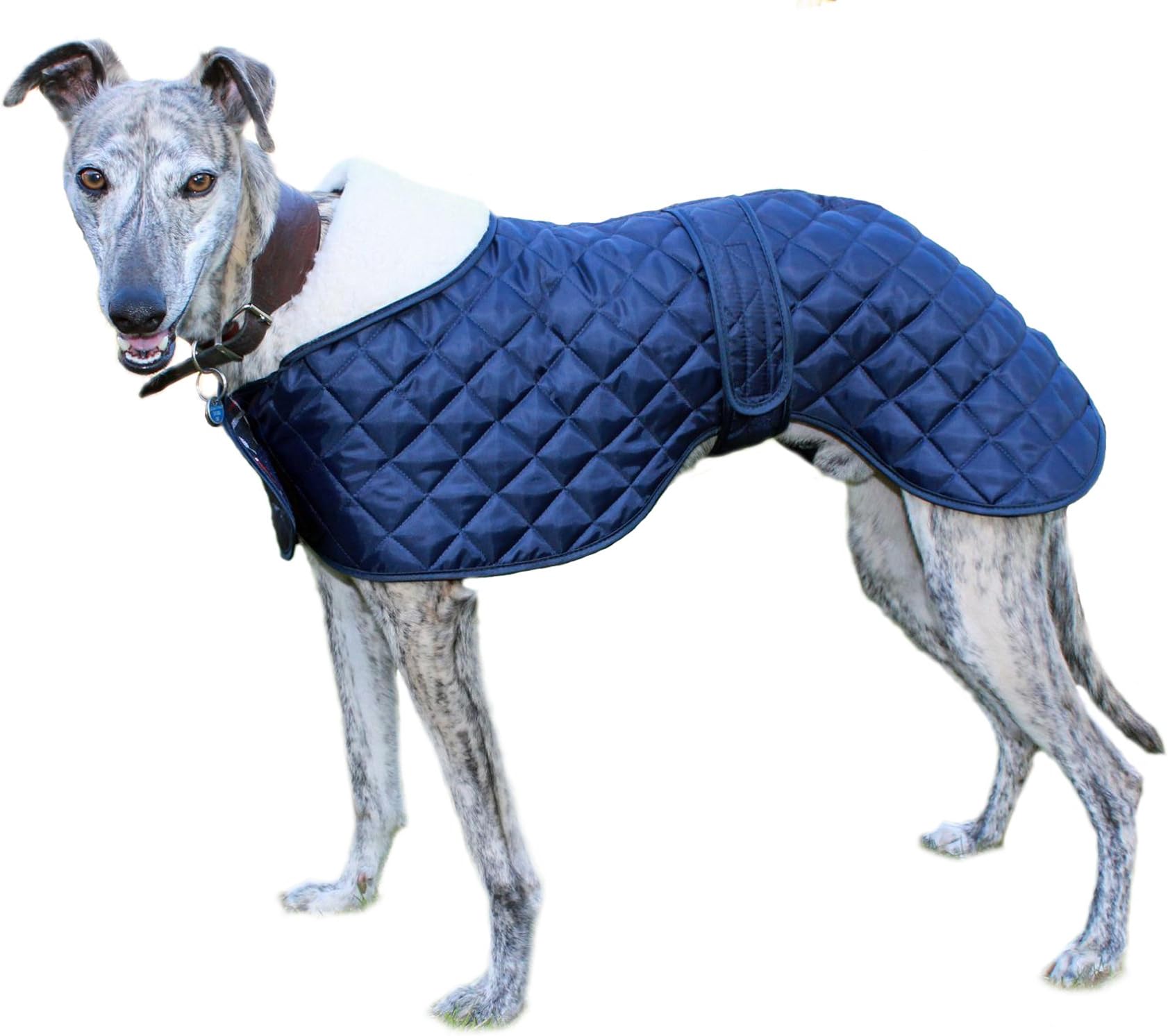 CosipetGreyhound Anorak, 20-inch/ 51 cm, Blue