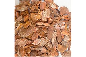 TODOSTONES Corteza de Pino para decoración 10 litros (40/60 mm)