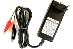 Enerpower Steck 4S - Cargador para baterías LiFePo4 (12,8 V, 14,6 V, 3 A), diseño de cocodrilo