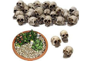 NIUMOWANG Set di Mini Teschi, 20Pcs Mini Teschi Decor, Figurina Mini Teschio, Testa di Teschio in Miniatura, Artigianato di Teschi dall'aspetto Realistico, Perfetto per Halloween, decorazioni per vasi di fiori