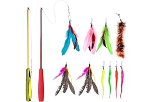 Famgee Feather Teaser Cat Toy - 2 Pcs Retractable Cat Toys Wand and 10 Replacement Refills Assorted Feathers Birds Worms Catcher with Bell, Interactive Teaser and Funny Exercise for Kitten Cats