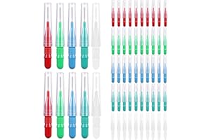 jjshund 50 Pcs Brossettes Interdentaire, Brosse Dentaire Portable avec Couvercle, Dent Brossette Outil de Nettoyage de Dents pour Nettoyer entre Dents, Maintenir Santé Bucco-dentaire