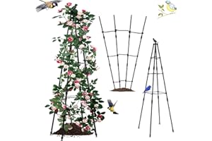 Rumsfel Enrejado de jardín Obelisco, Soporte Plantas Trepadoras, Exterior jardín Soporte Decorativo para Plantas, Jaula para Plantas de Tomate, Escalada Vegtables, Flowers, Fruit Grow Cage (Estilo B)