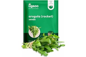 UGAOO Rocket Arugula Herb Seeds (Green, Pack of 1000)