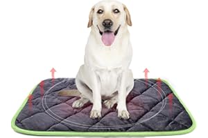 SONNIG Coussin Auto-Chauffant pour Chat & Chien Couverture Chauffante Chien Couverture Chauffante Chien, Gris + Vert (58 x 88 cm)