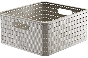 Rotho Country Scatola di Conservazione in Rattan-Look, Plastica (PP) senza BPA, Beige (Cappuccino), 14 L, 32.8 x 30.0 x 16.0 cm