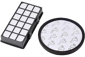 AMSAMOTION Filtres pour ZR006001 Rowenta X-Trem Power Cyclonic RO6984EA RO6941EA RO6963EA RO6921EA RO6971EA RO6993EA (Modèle RO69XX) Aspirateurs, Filtre de Rechange Accessoires