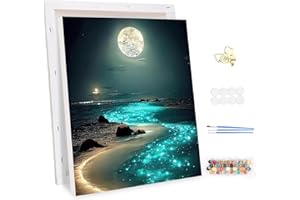 MEIYUDA Pintar por Numeros Adultos con Marco Lugares de Interés, Cuadros por Numeros Pigmento Acrílico, DIY Pintura por Numeros Kit Manualidades, Decoración para el Hogar Regalo de pared 30x40cm