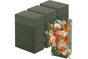 APACALI 12 Pièces Mousse Florale, Masses de bouchage pour Les compositions Florales, Mousse de bouchage pour Les Fleurs fraîches, Mousse pour Les Fleurs Fraîches pour Le Mariage Et l'anniversaire