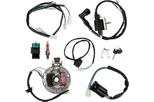 Tändspole CDI tändstiftskabel magneto statatorkit, elektriskt ledningsnät magnetrelä för 49cc 50cc 80cc 90cc 100cc 110cc 125c