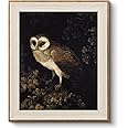 VIYYIEA Framed Canvas Wall Art, Vintage Wall Art for Living Room, Pets Animals Oil Painting Picture Summer Home Decor Bathroom Wall Decor Gifts for Friends or Family -【Owl】-(10"x12")