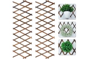 TOYOSPORT Expandable Wooden Trellis Panels, 2 Pcs - Vertical Rack Stand for Climbing Plants, Wall Decor Hanging Frame for Indoor Outdoor Patio Garden