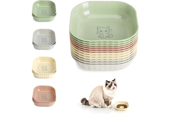 12 stycken kattskål, matskål katt, kattskål platt | Kvadratiska Kattskålar, Kattskål, Kattplatt För Kattungar Och Kortbenade Katt Skålset För Husdjurskatter Torrfoder
