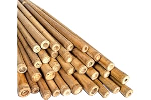 LOIBUYZ Bamboo Canes - Plant Supports for Outdoor Plants – Heavy Duty Professional Bamboo Sticks for Plants, All Lengths 2,3,4,5,6,7 & 8ft Garden Canes, Garden Plant Supports (20, 5ft, 12-14mm)