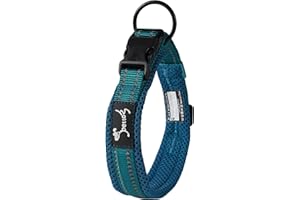 PETTOM Kaka mall - Collar para perro clásico acolchado, ajustable y reflectante, con anillo de aleación, para perro pequeño mediano o grande