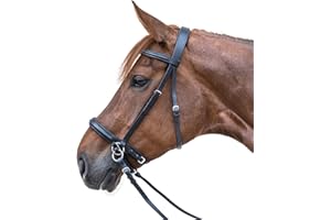 WALDHAUSEN Star Zaum Gebisslos