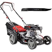 scheppach Benzin-Rasenmäher MS150-42 - 3.7PS | 42cm Schnittbreite | Radantrieb | 45L Fangbox (Inkl. 2 Mäh- & Mulchmesser…