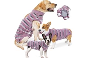 Jodsen Dog Recovery Suit, Dog Surgery Onesie, Purple Stripes, Medium, Large
