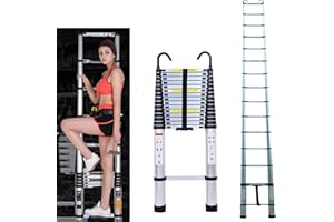 RIGOGO Escalera telescópica plegable con 2 ganchos, escalera deslizante de 6,0 m, escalera ligera extensible, portátil, multiusos, capacidad de carga de 150 kg, color plateado