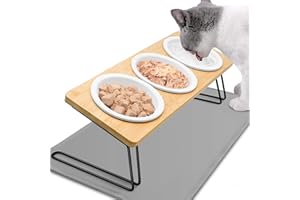 Otauoaea Ciotola per gatti rialzata – 3 ciotole in ceramica con supporto a 15° inclinato e tappeto, per gatti e cani di piccola taglia