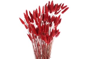 sourcing map 120pcs Natural Rabbit Bunny Tail Dried Flowers 18" Mini Pampas Grass Lagurus Ovatus Bunch for Floral Wedding Decor Christmas, Red