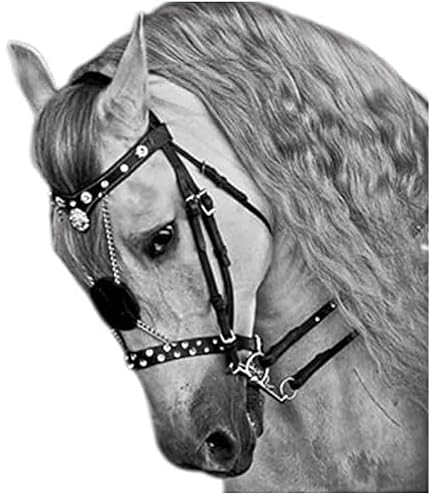 Bride De Chasse Anglais Leaders, Cuir, Taille Cheval Complet, Sans Flash, Neuve