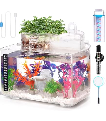 PortoAlegre Mikro Landschafts-Aquarium - Komplettset Mit Filter, Ideal Für Betta-Fische