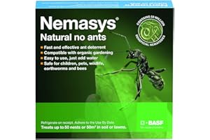 nemasys no ant large pack treating 50sqm
