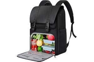 BERTASCHE Lunch Backpack for Men Women, 15.6"~17.3" Laptop Backpack with Insulated Cooler Lunch Box, Work Bag for Business Teacher Commuter Travel College Picnic