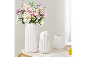 Jarrón de Cerámica Blanca de 3 Piezas, Blumacht Flores Secas, Jarrones de Hierba de Pampas para Ramo de Centros de Mesa, Estante de Mesa de Entrada Moderno, Decoración de Sala de Estar para Dormitorio