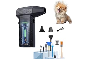 FENAMOR Elettrico Compressore Aria Portatile Senza Fili, 260000 Giri/Min, Soffiatore Aria Compressa, Mini Soffiatore a Batteria 8000 mAh, Compressed Air Duster del PC, Divano, Tastiera, Auto, Esterno