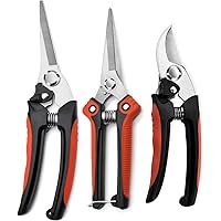 GRKJGytech Gartenschere und Baumscheren Set Professionelle Garten Scheren Scharfe Klingen aus rostfreiem Stahl PP…