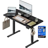 WOLTU Electric Lift Desk, 120 x 60 cm, Black | Height 72-118 cm, with Memory and Anti-Collision Protection, 2 Hooks, for Offi
