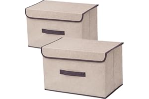 NCRGB Caja de Almacenaje Plegable con Tapa para Guardar Ropa (36×23×24cm/2pack, Beige Blanco)