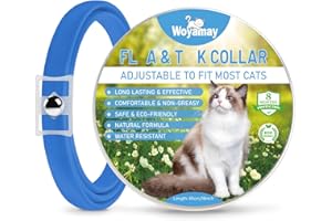 WOYAMAY Collier Anti Puces Chat Durable Imperméable - Antipuce Chaton pour Offrir Protection Efficace Et Confortable, Bleu Clair