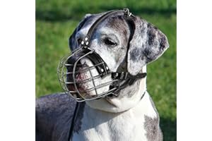 ILEPARK Museruola per Cani in Metallo con Cinghie in Pelle, Pitbull, Alano, Rottweiler, Cestello in Filo Sicuro, Traspirante, Regolabile per Cani Grandi (Nero)