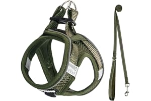 UVTQSSP Hundegeschirr Kleine Hunde mit Leine Gepolstert, Welpengeschirr, Dog Harness Hunde Geschirr Klein, Olivgrün S