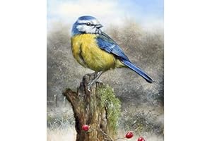 Bimkole 5d Diamond Painting Kit Bricolaje Arte Tocón De Pájaro, Animales Pintura Diamantes Kits Estampados De Punto De Cruz Diamantes de Imitación Decoración de Pared, (30x40 cm)