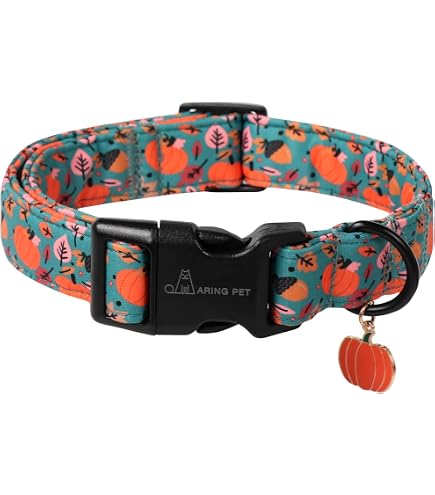 Buckle Down Hundehalsband – Sicherheitsgurt-Design Mit Kristallen, Violett, Für Halsumfang 15-26 Inch