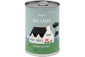 MAUVAISESGRAINES-KITS À SEMER Mauvaises Graines - Kit de Fleurs à Semer en Boîte - Kit de Culture à Offrir comme Cadeau Original Amis Famille Fêtes - Ultra Simple à Utiliser - 100% Fabriqué en France (Yéyé Bretagne)
