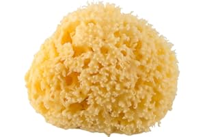 Rotho Babydesign Gąbka śródziemnomorska, Produkt naturalny, Średnica: 9-10 cm, Żółta