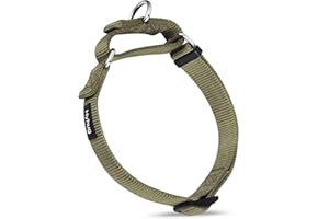 Hyhug Pets Solid Color Sturdy Nylon Escape-proof Martingale Dog Collar for Medium Boy and Girl Dogs - Walking Training Daily Use. (Medium, Military Green)