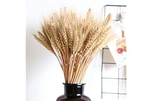 Storaffy Flores Trigo | 45cm 100Pcs Manojo Flores Trigo seco | Gavillas Trigo para decoración del hogar DIY | Guirnalda Planta Paquete Trigo seco Artificial para Mesa