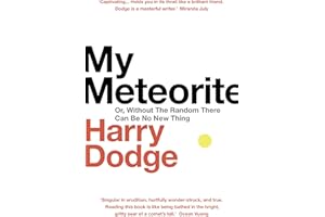My Meteorite: Or, Without The Random There Can Be No New Thing
