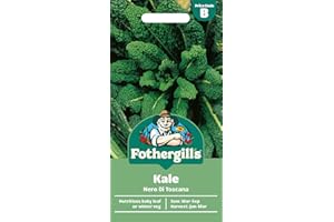 MR FOTHERGILLS Fothergill's Kale Nero Di Toscana, Vegetable Seeds, 400 Seeds, Sow: Mar-Sep