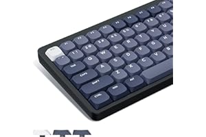 WOMIER XVX Flache Tastenkappen, PBT-Tastenkappen, 144 Tasten, Skyline Custom Keyboard Keycaps Full Set, Double Shot Tastenkappen für 60% 65% 75% 80% 100% Cherry Gateron MX Switches Mechanische Tastatur